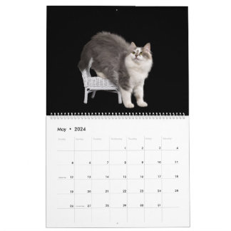 Calendário de Gatinhos Siberianos
