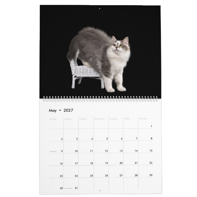 Calendário de Gatinhos Siberianos (Maio 2027)