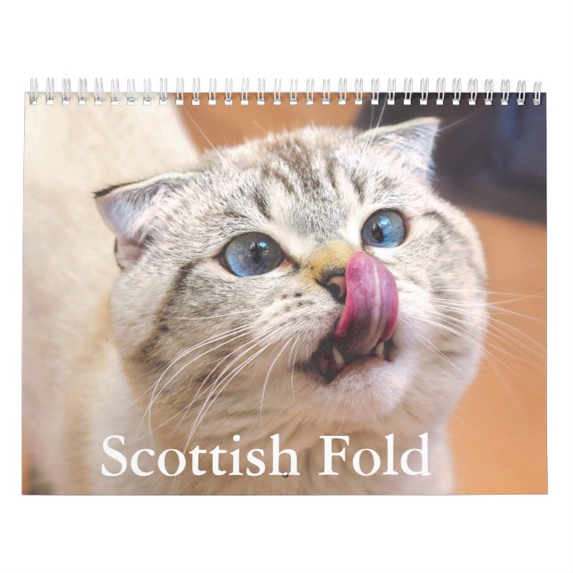 Calendário de Gato de Dobro Escocês (Capa)