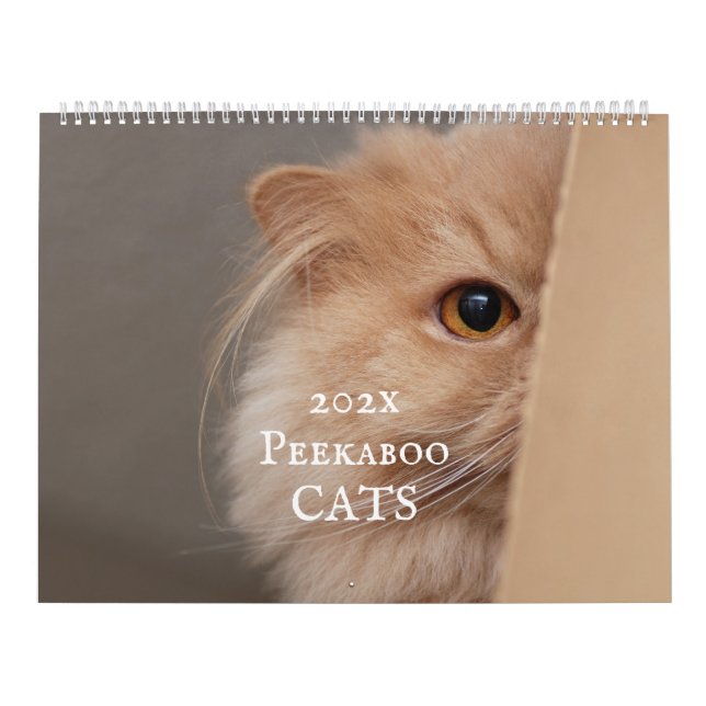 Calendário de Gato de Pequim (Capa)