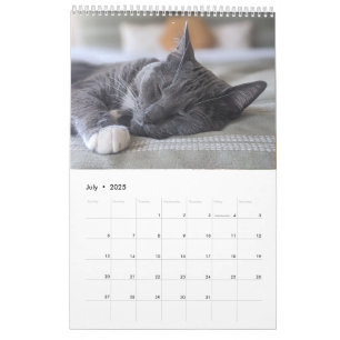 Calendário de Gato Sonolento