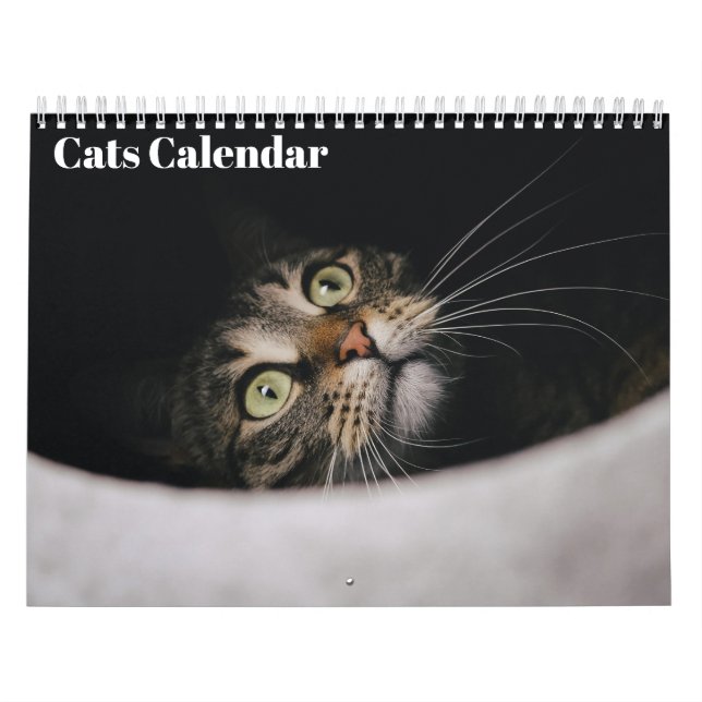 Calendário de Gatos 2027 (Capa)
