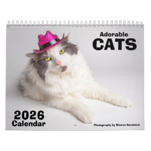 Calendário de Gatos Adoráveis de 2026 Fotografia