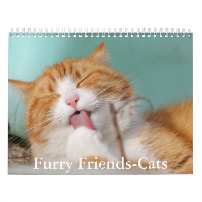Calendário de Gatos Amigos Fofinhos e Peludos (Capa)