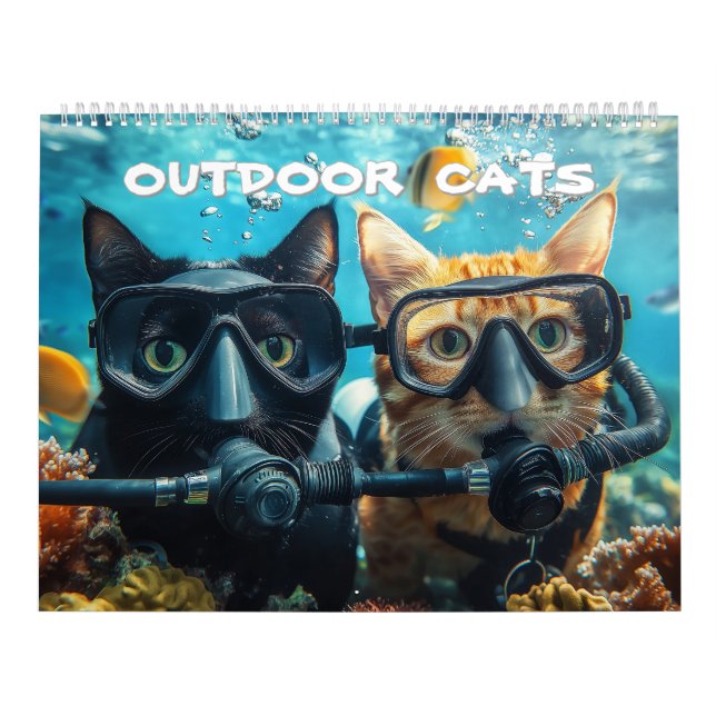 Calendário de Gatos ao Ar Livre (Capa)