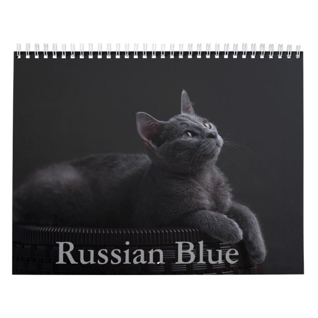 Calendário de Gatos Azuis Russos (Capa)