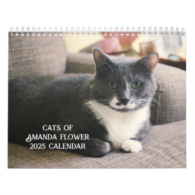 Calendário de Gatos da Amanda Flower 2025 (Capa)