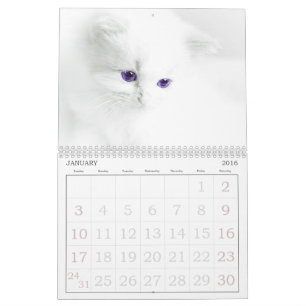 Calendário de Gatos de Corte
