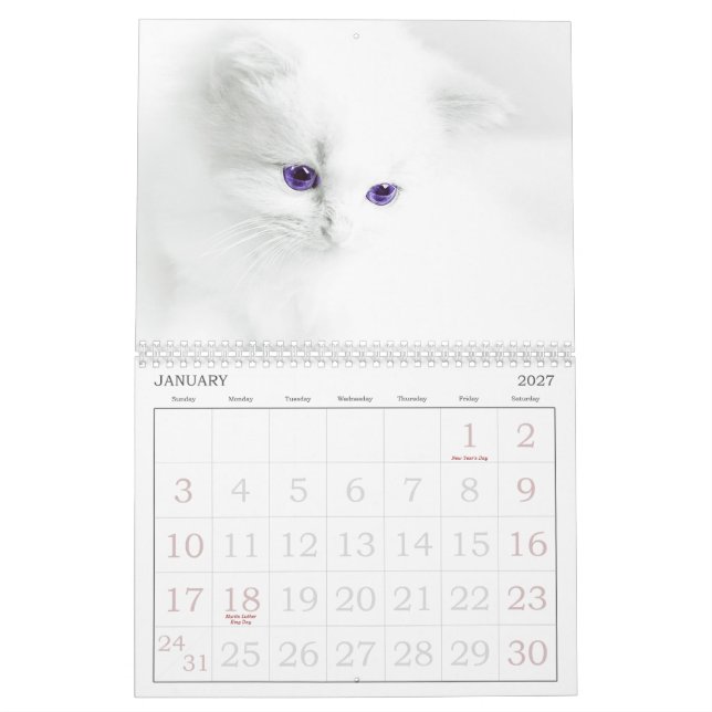 Calendário de Gatos de Corte (Jan 2027)