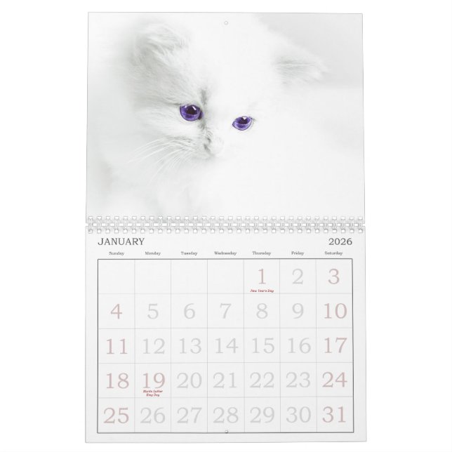 Calendário de Gatos de Corte (Jan 2026)