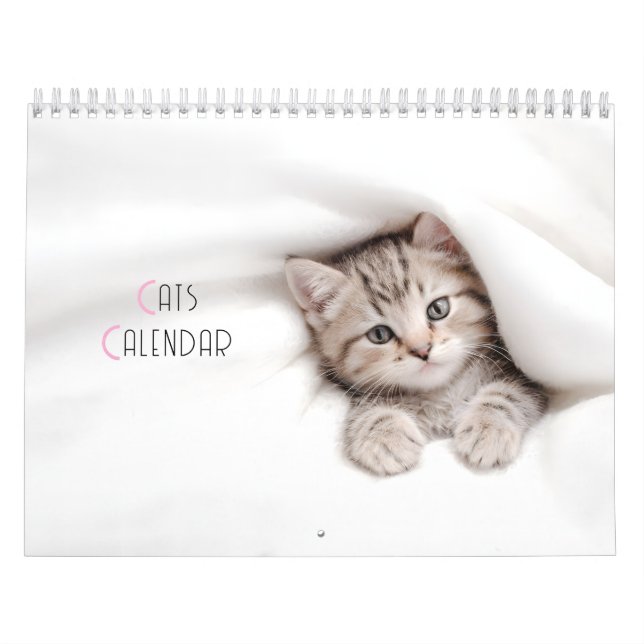 Calendário de Gatos de Corte (Capa)