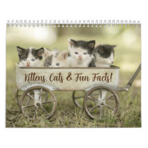 Calendário de Gatos de Gatinho de Gatinho