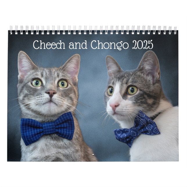 Calendário de Gatos de Gato (Capa)