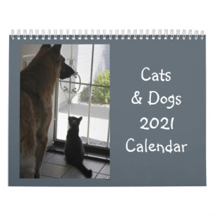 Calendário de gatos e cães