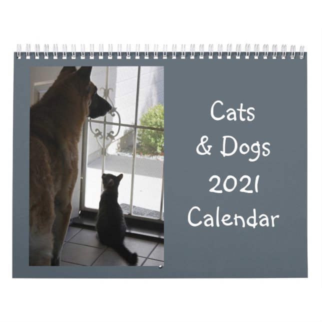 Calendário de gatos e cães (Capa)