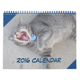 Calendário de Gatos e Cães 2016