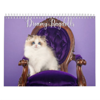 Calendário de Gatos e Gatinhos Ragdoll Sonhadores