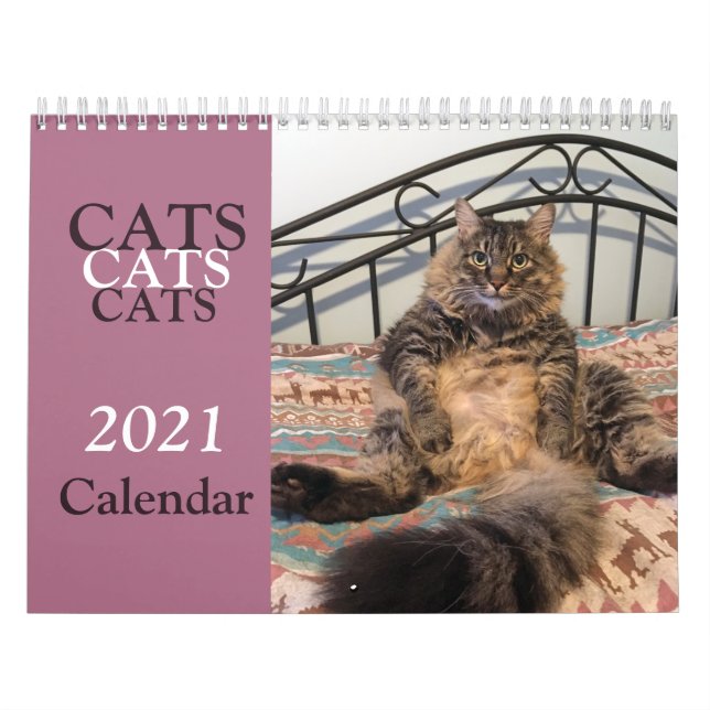 Calendário de Gatos Gatos Gatos (Capa)