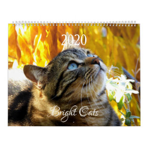 Calendário de Gatos Iluminados HAMbWG