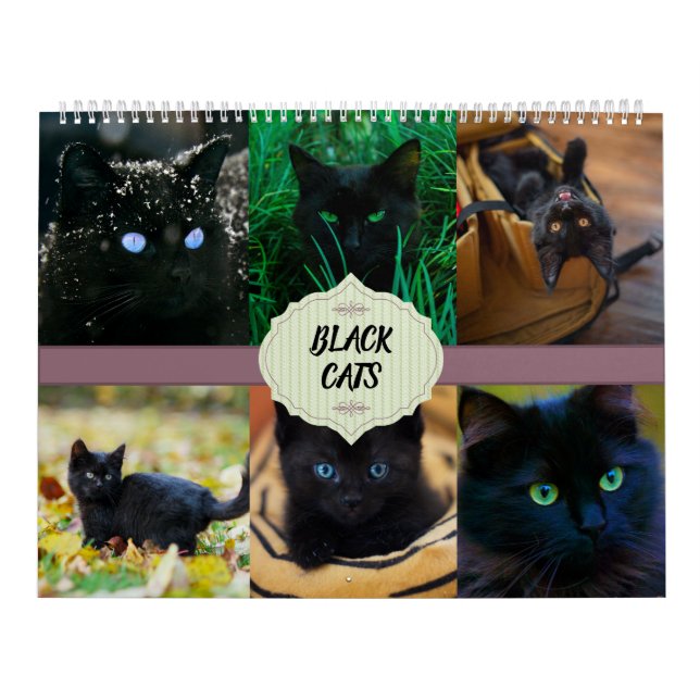 Calendário de Gatos Pretos (Capa)