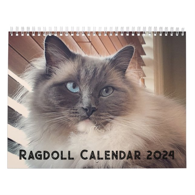 Calendário de Gatos Ragdoll (Capa)
