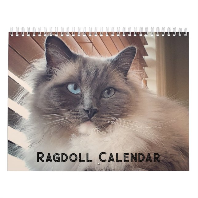 Calendário de Gatos Ragdoll (Capa)