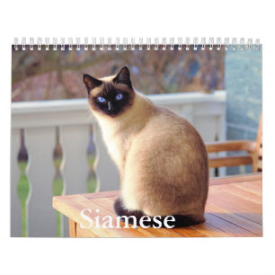 Calendário de Gatos Siameses