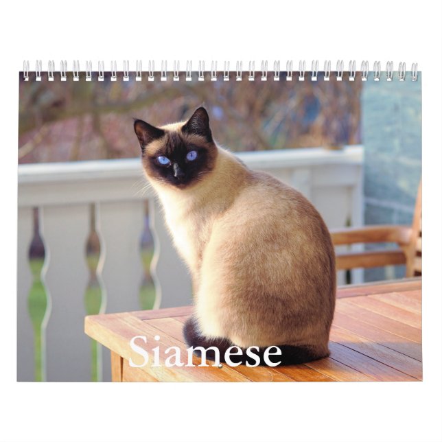 Calendário de Gatos Siameses (Capa)