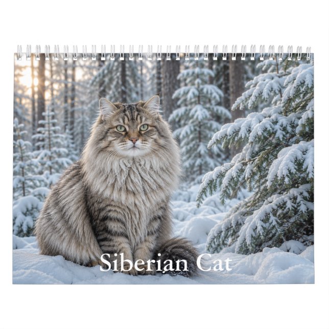 Calendário de Gatos Siberianos (Capa)