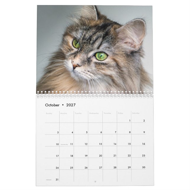 Calendário de Gatos Siberianos 2019 (Out 2027)