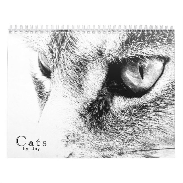 Calendário de Gats (Capa)
