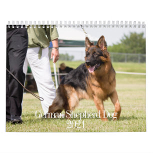 Calendário de German shepherd