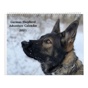 Calendário de German shepherd Adventure