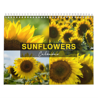 Calendário de Girassóis - Coleção de Fotos