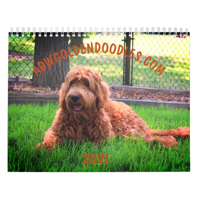 Calendário de Goldendoodle (Capa)
