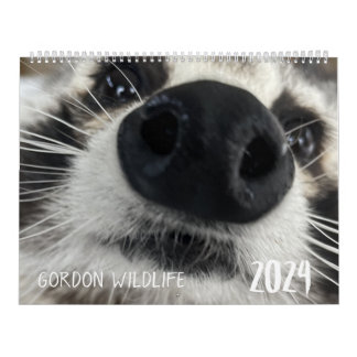 Calendário de Gordon Wildlife Raccoon 2024
