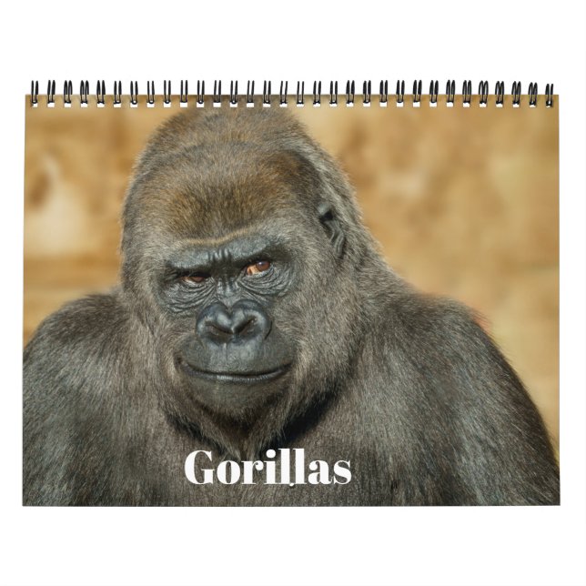 Calendário de Gorilla 2026 (Capa)