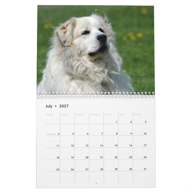 Calendário de grandes Pyrenees (Jul 2027)