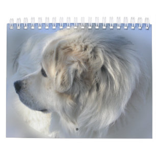 Calendário de grandes Pyrenees