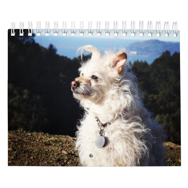 Calendário de Gwendolyn 2016 (Capa)