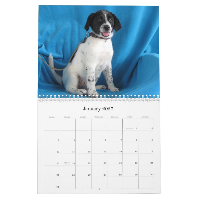 Calendário De Harlan às mãos seguras (Jan 2027)