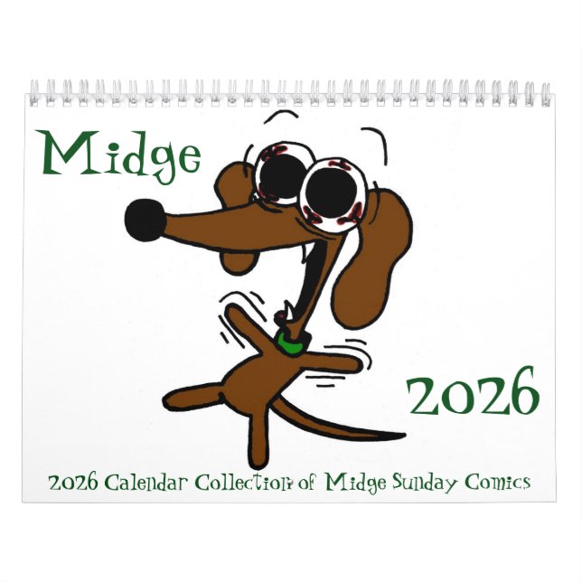 Calendário de História em quadrinhos Domingo 2026 (Capa)