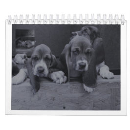 Calendário de hound de base