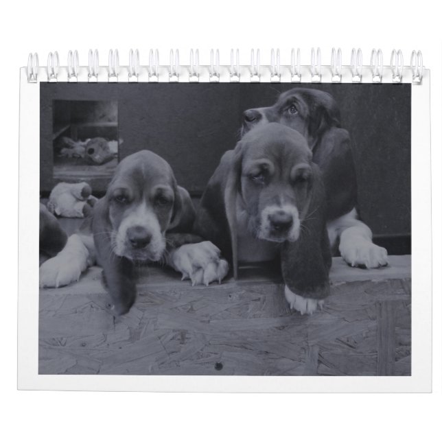 Calendário de hound de base (Verso)