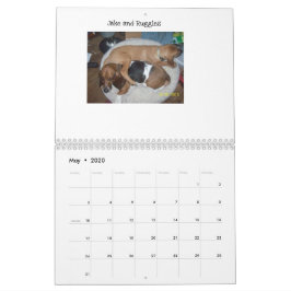 Calendário de hound de base