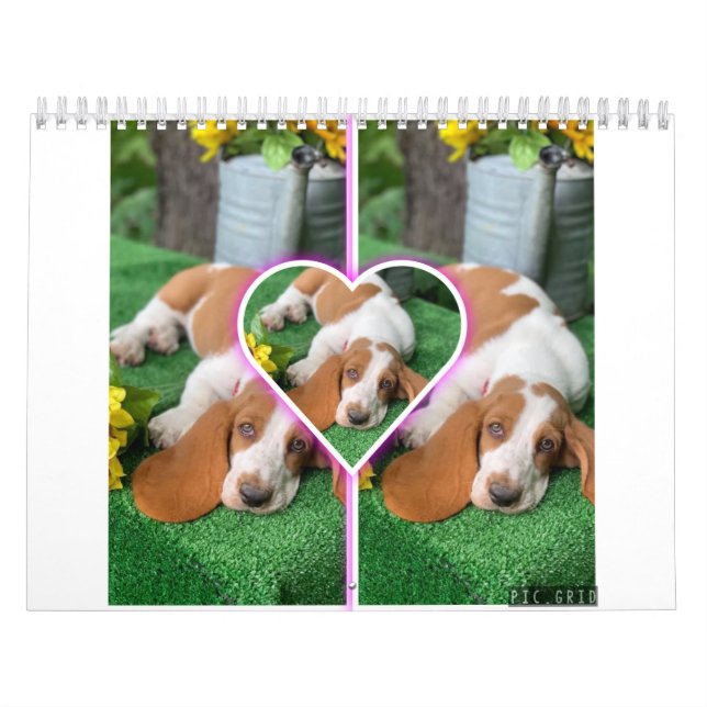 Calendário de hound de base (Capa)