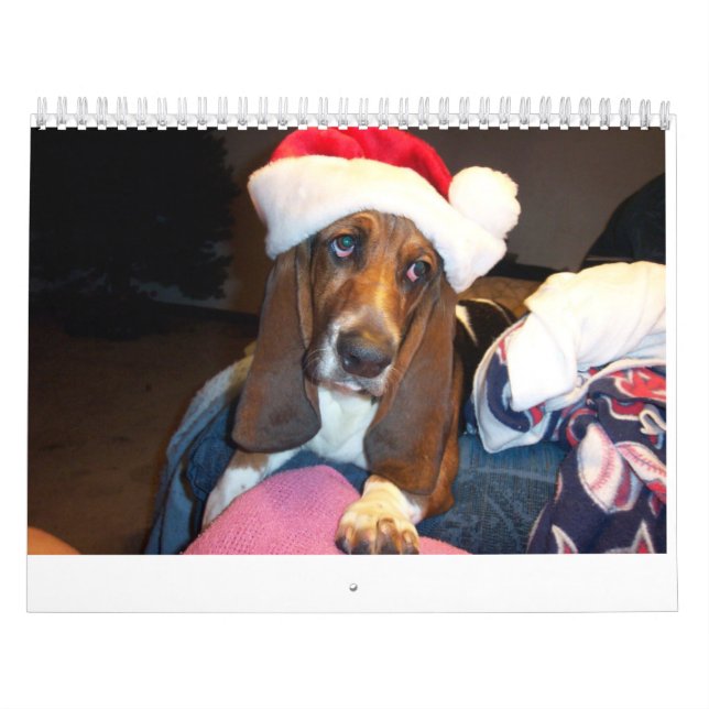 Calendário de hound de base (Capa)