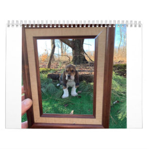 Calendário de hound de base