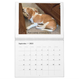 Calendário de hound de base