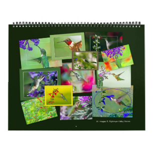 Calendário de HUMMINGBIRDS
